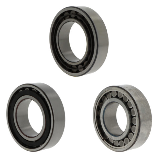 Toroidial roller bearings